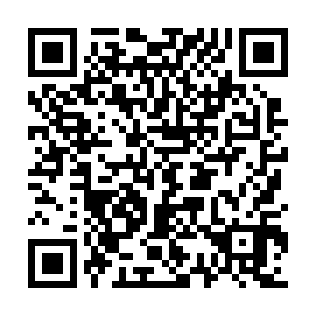 QR code for G38210
