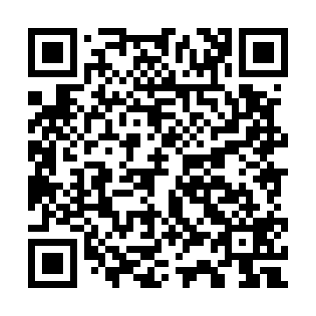QR code for G38519