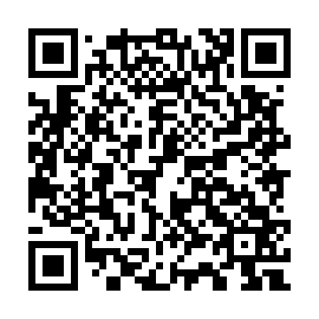 QR code for G38563
