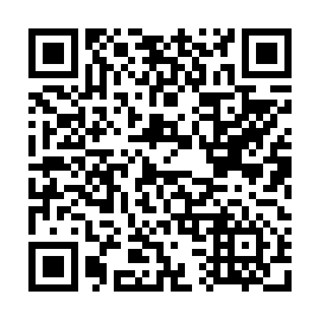 QR code for G38656
