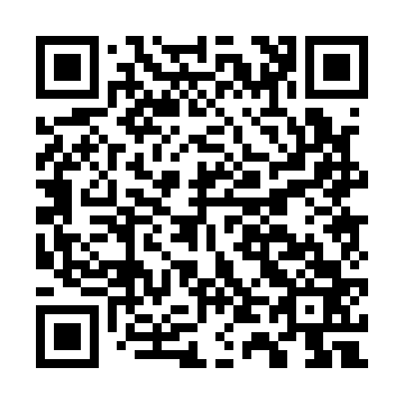 QR code for G40163