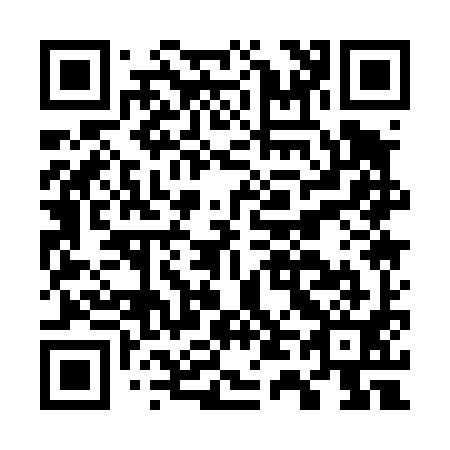 QR code for G41491