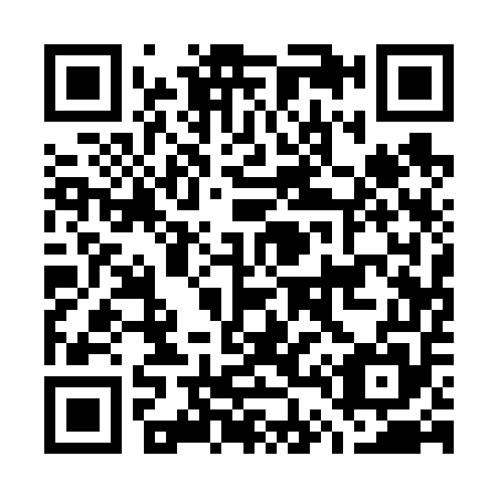 QR code for G41655