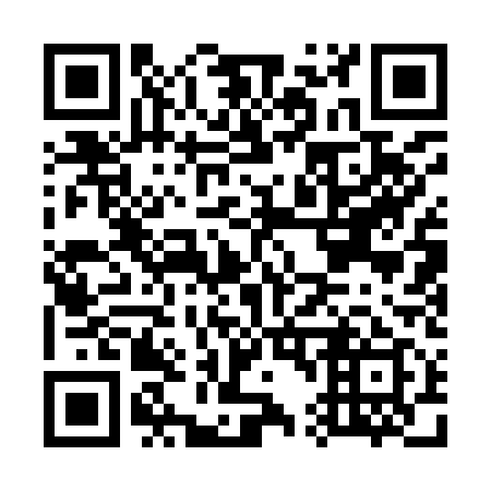 QR code for G41919