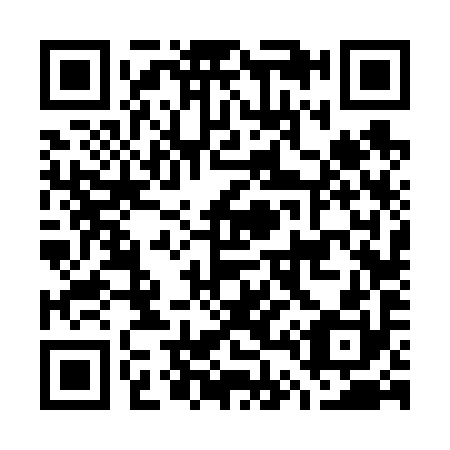 QR code for G46690