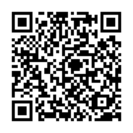 QR code for G48729