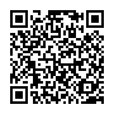QR code for G51029