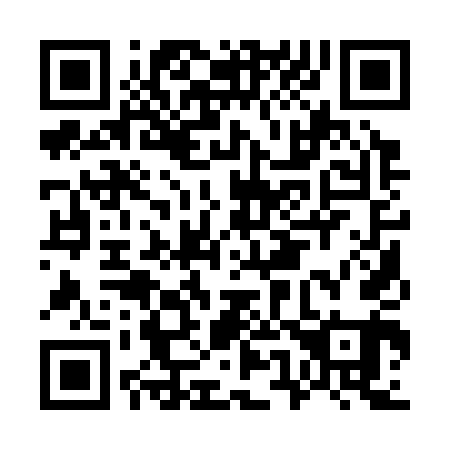 QR code for G51341