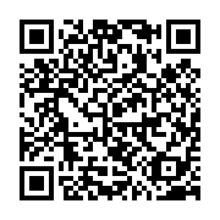 QR code for G51419