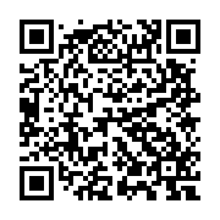 QR code for G51517