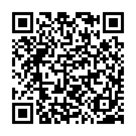 QR code for G52313