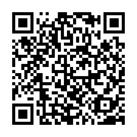 QR code for G53338