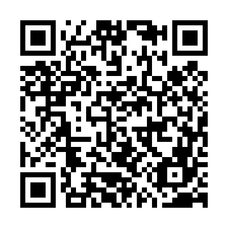 QR code for G55466