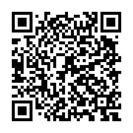 QR code for G58411