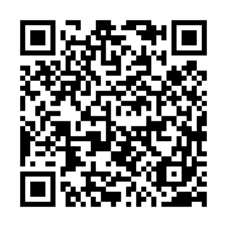 QR code for G58463