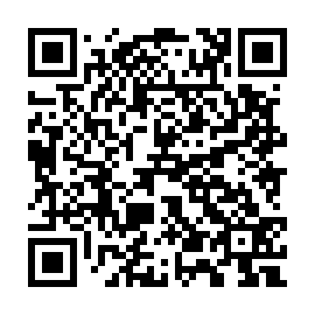 QR code for G58533