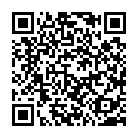 QR code for G58739