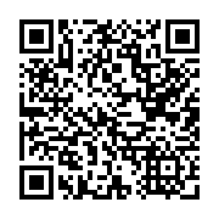 QR code for G61366