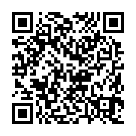 QR code for G61381