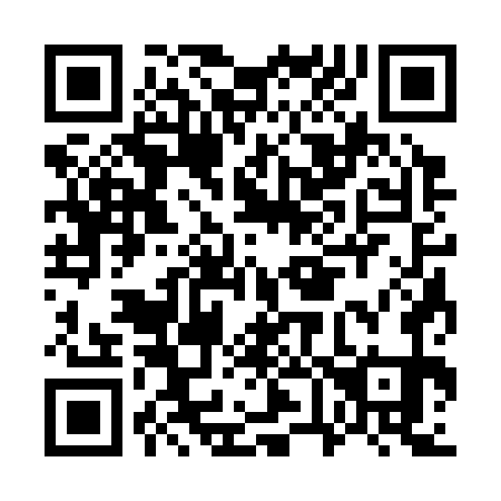QR code for G63371