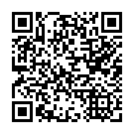 QR code for G63379