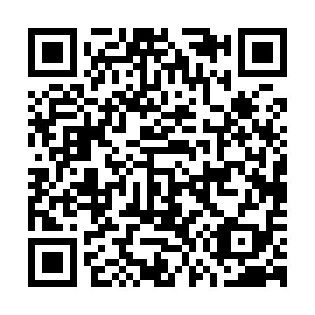 QR code for G70919