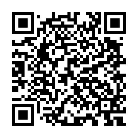QR code for G73493