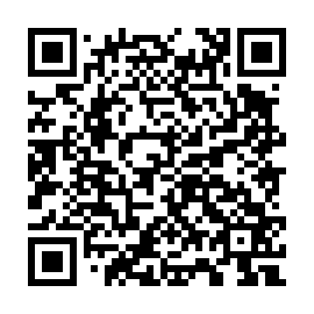 QR code for G78463