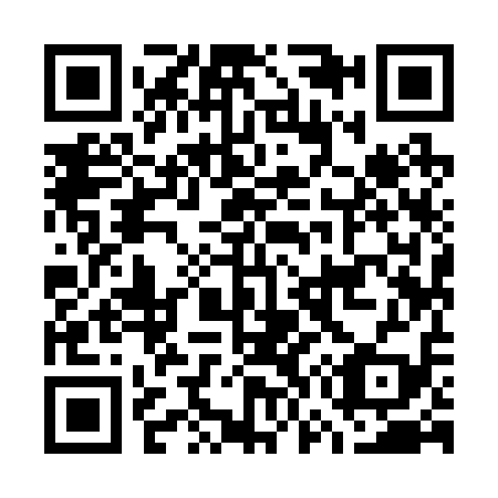QR code for G79219
