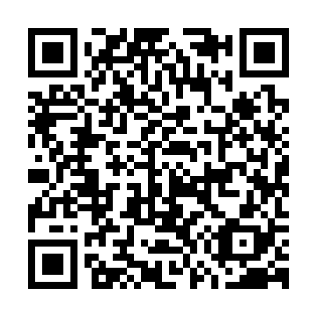 QR code for G79328