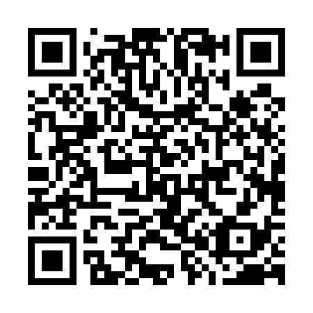 QR code for G80538