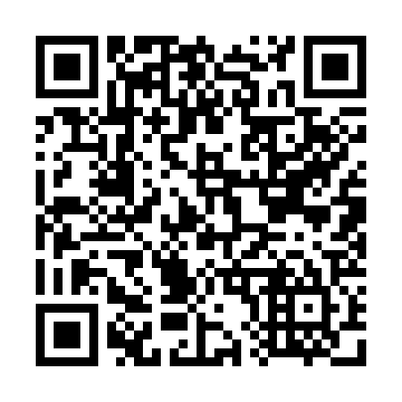 QR code for G81325