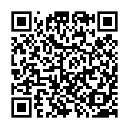 QR code for G81498