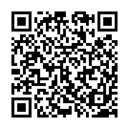 QR code for G81513