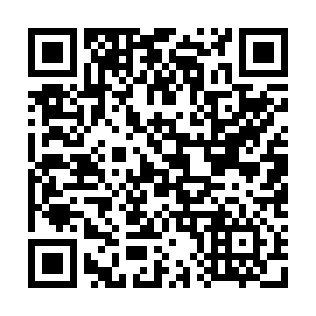 QR code for G85216