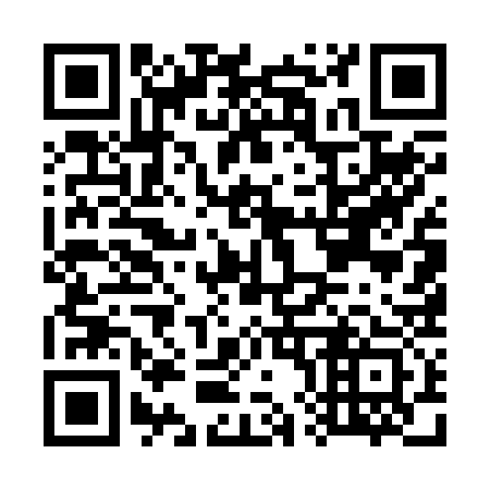 QR code for G85233