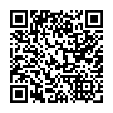 QR code for G85372