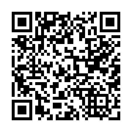 QR code for G85381