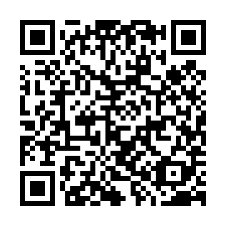 QR code for G85489