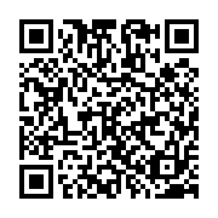 QR code for G85513