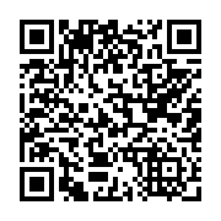 QR code for G85641