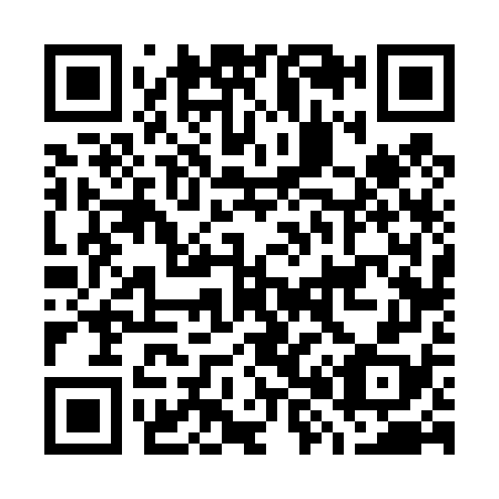 QR code for G86478