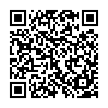 QR code for G86594