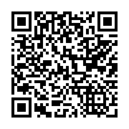 QR code for G86637