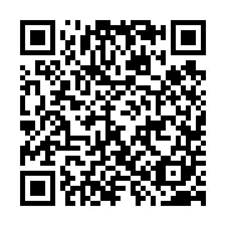 QR code for G86641
