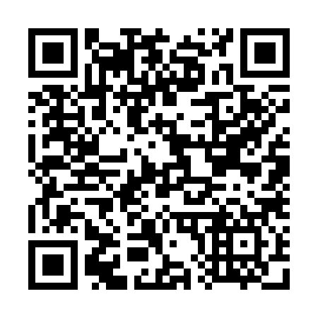 QR code for G87387