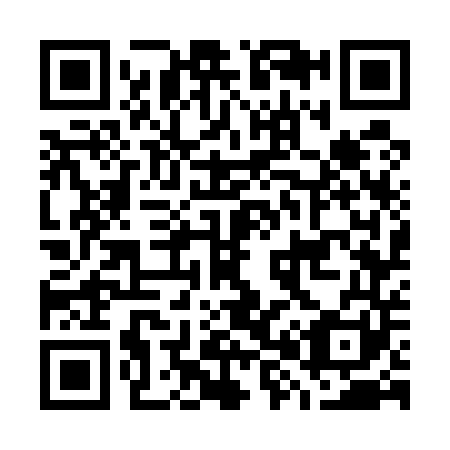 QR code for G87541