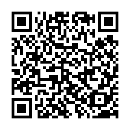 QR code for G87658