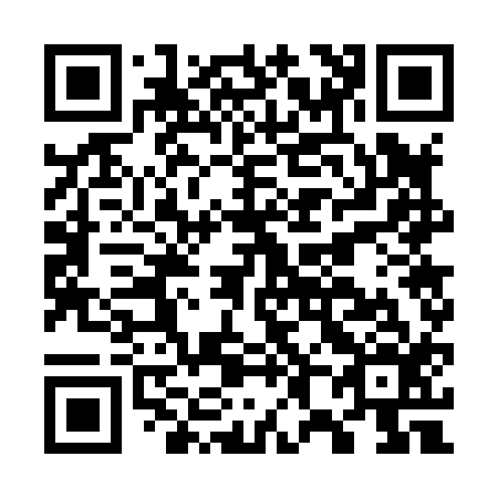 QR code for G87816