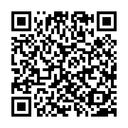 QR code for G88029
